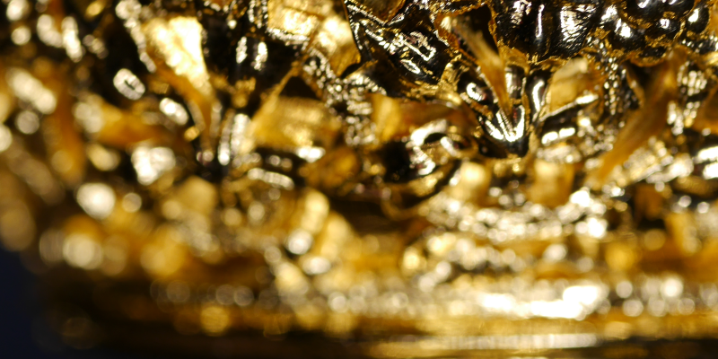 Kelch gold (c) Alexandra Hein