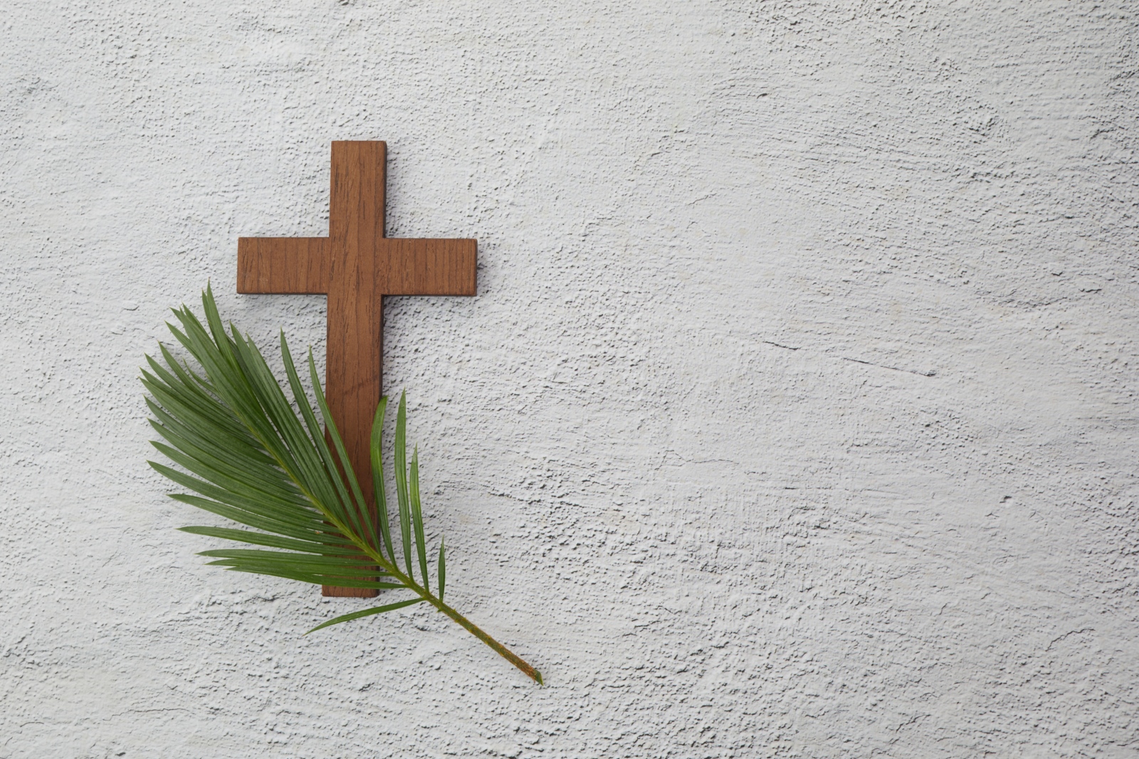 Kreuz mit Palmzweig (c) Shutterstock